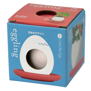 Eggling with Saucer