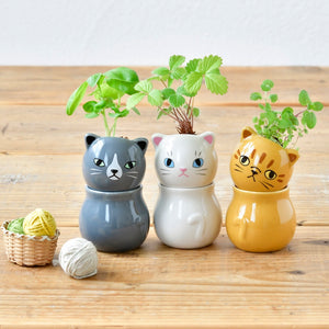 Corocoro Cats