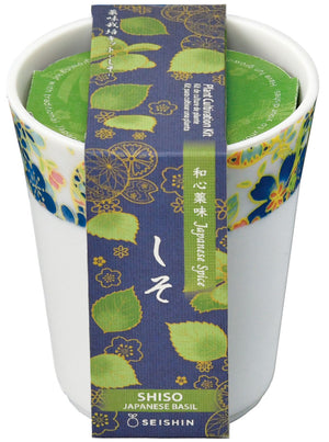 Wagokoro Yakumi