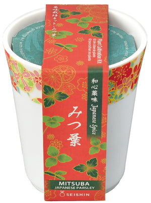 Wagokoro Yakumi