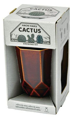 Hachi Kaku Cactus