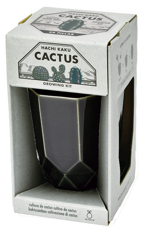 Hachi Kaku Cactus