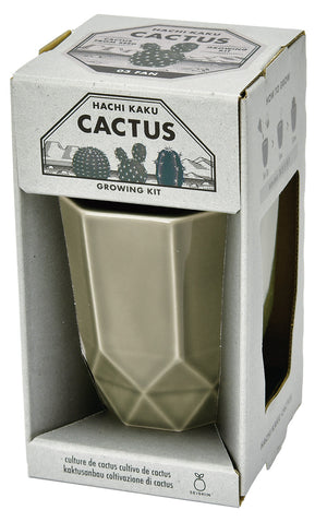 Hachi Kaku Cactus