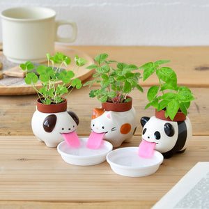 Peropons - Bundle with Cat, Dog, Panda - Lapping Animal Planters!